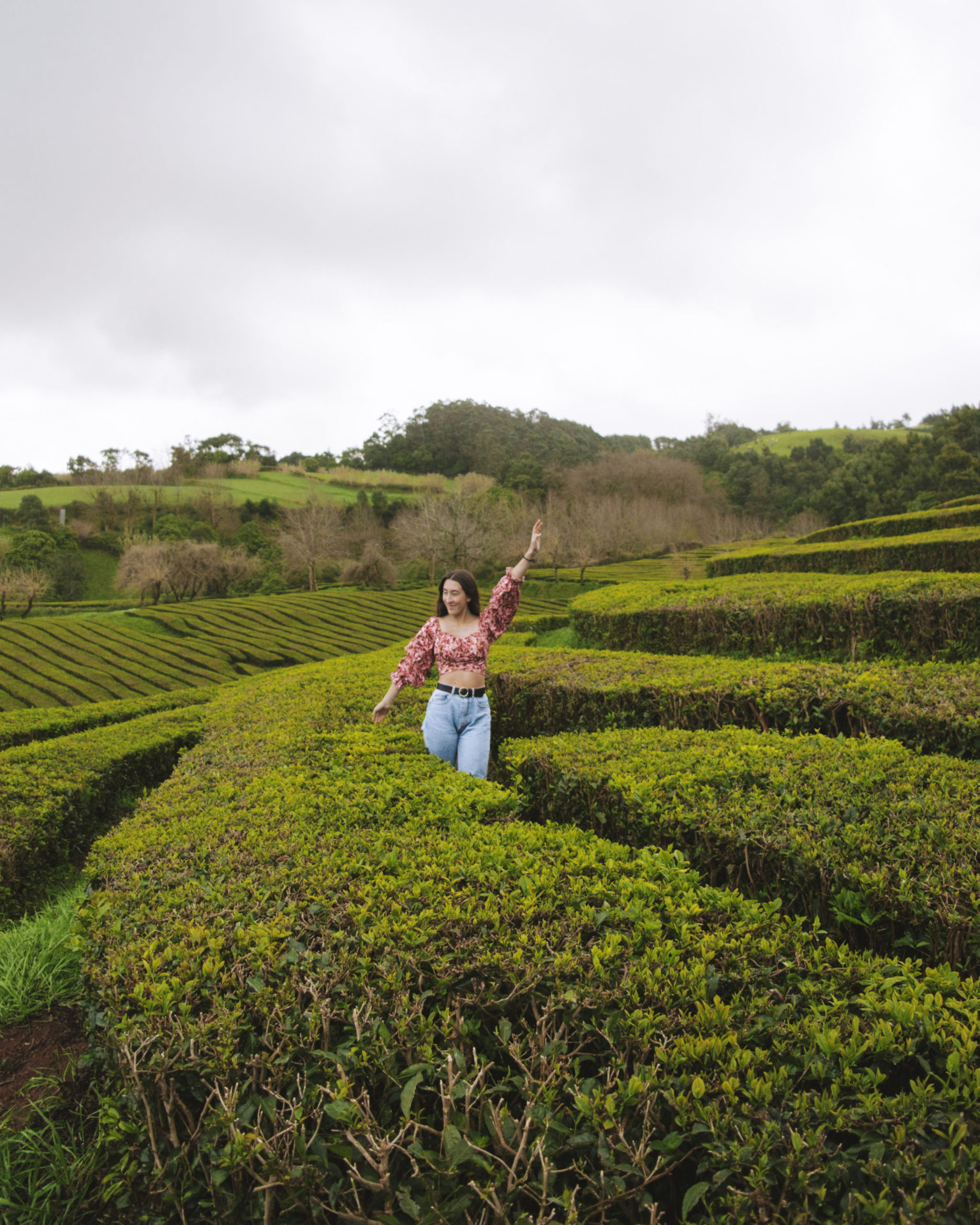 Azores Tea 3 Days in São Miguel, Azores: The Ultimate Island Itinerary - The ...