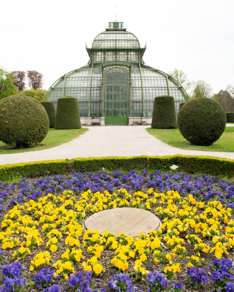 palm house schonbrunn palace
