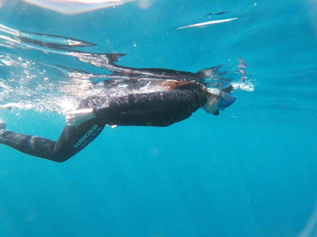 Snorkeling In Tenerife – The Best Way To Discover The Marine Life Of The Island