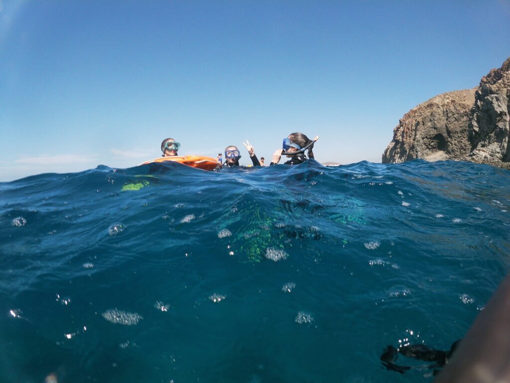 Snorkeling In Tenerife – The Best Way To Discover The Marine Life Of The Island