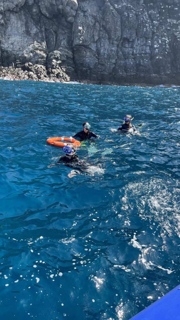 Snorkeling In Tenerife – The Best Way To Discover The Marine Life Of The Island