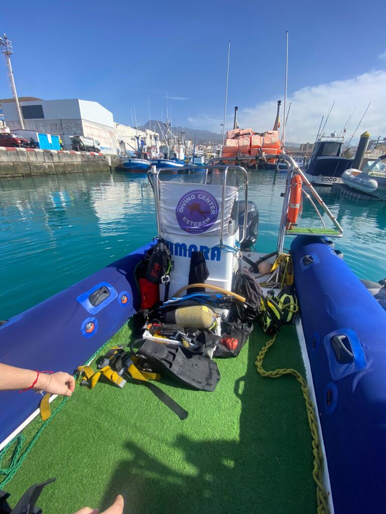 Snorkeling In Tenerife – The Best Way To Discover The Marine Life Of The Island