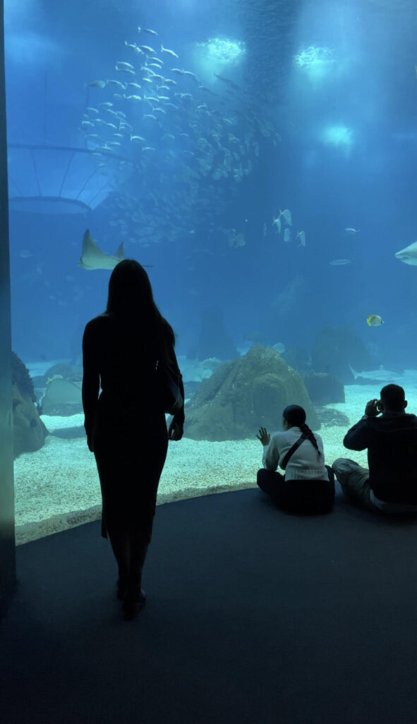 oceanario lisbon