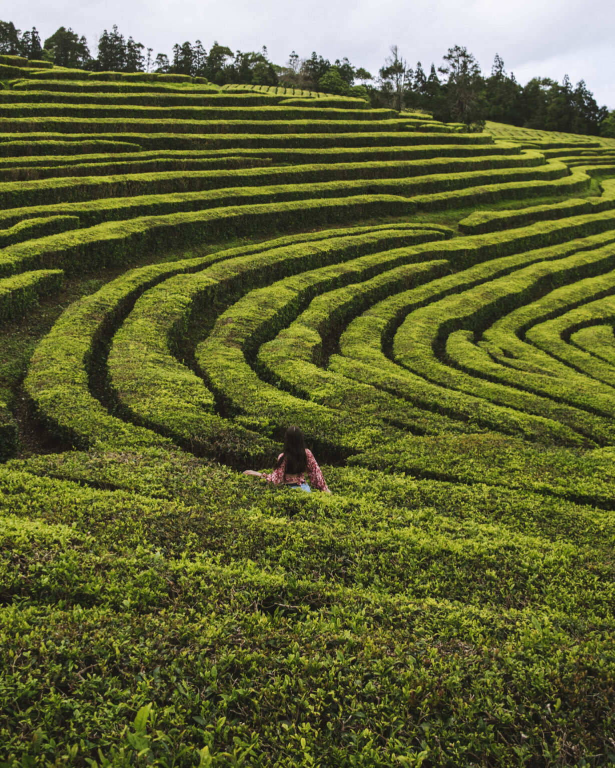 3 Days in São Miguel, Azores