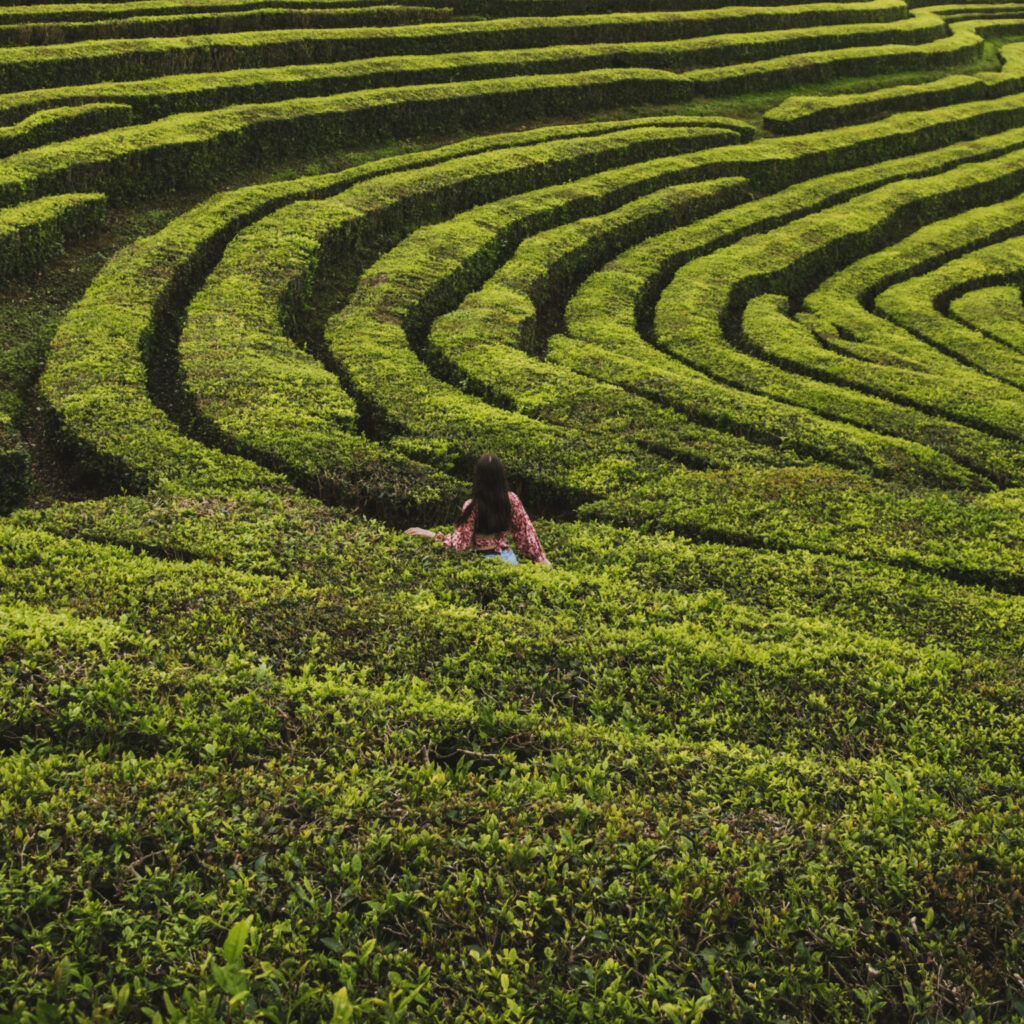 3 Days in São Miguel, Azores