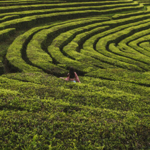 3 Days in São Miguel, Azores