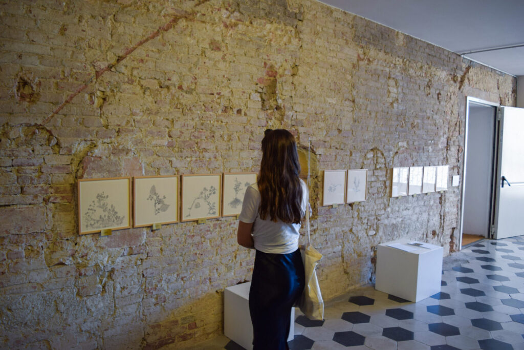 1-Day Itinerary in Siena, Tuscany santa maria della scala museum