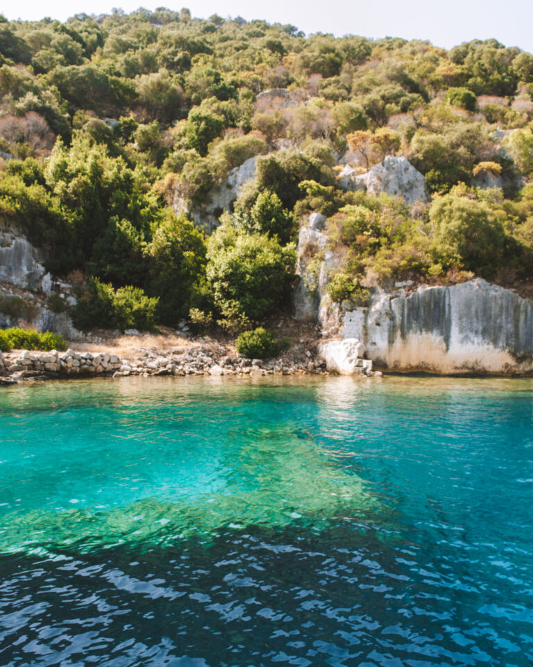 20240803_043539700_iOS