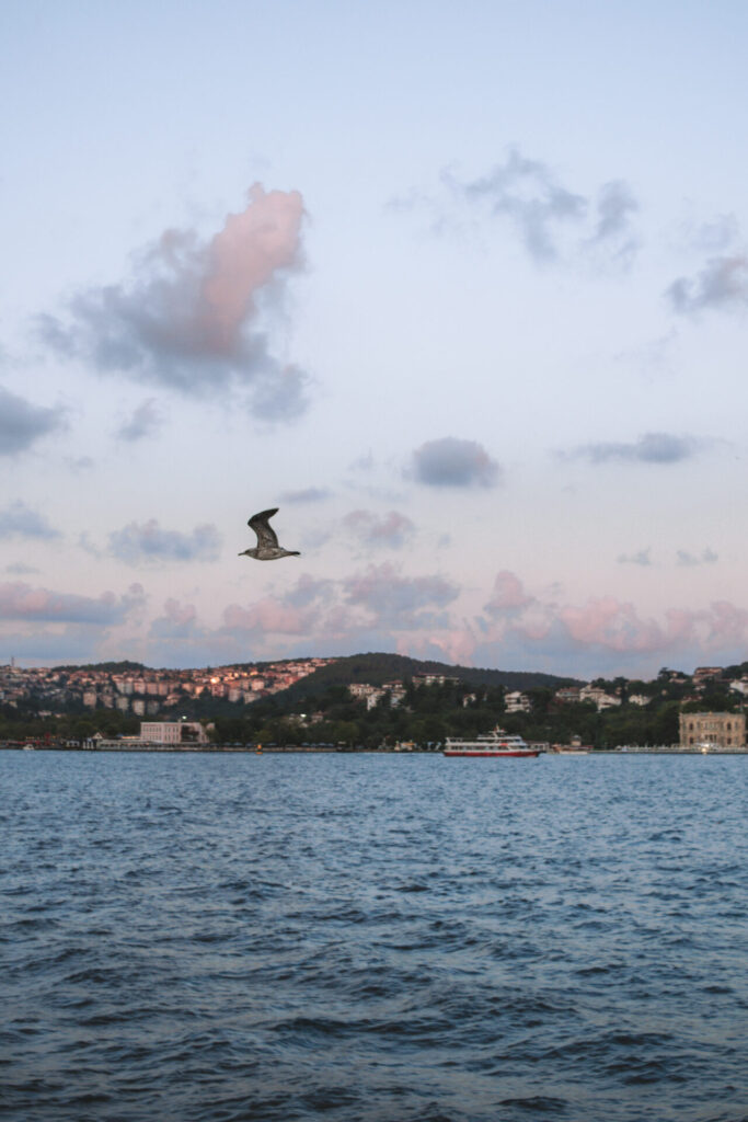 istanbul bosphorus sunset cruise