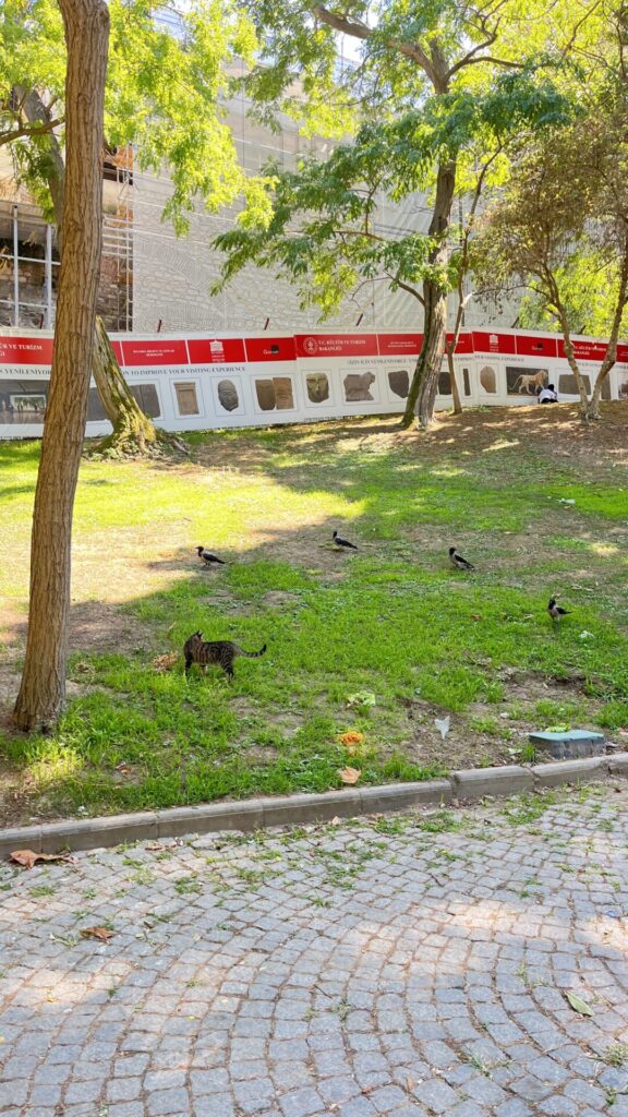 gulhane park istanbul turkey