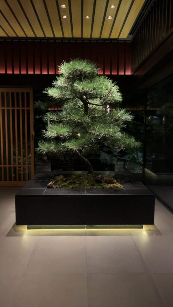 Staying At The Ritz-Carlton Kyoto – Hotel Review bonsai